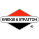 Двигатели Briggs-Stratton в Самаре